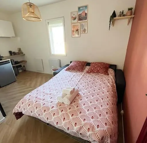 Studio - Cosy Kaza