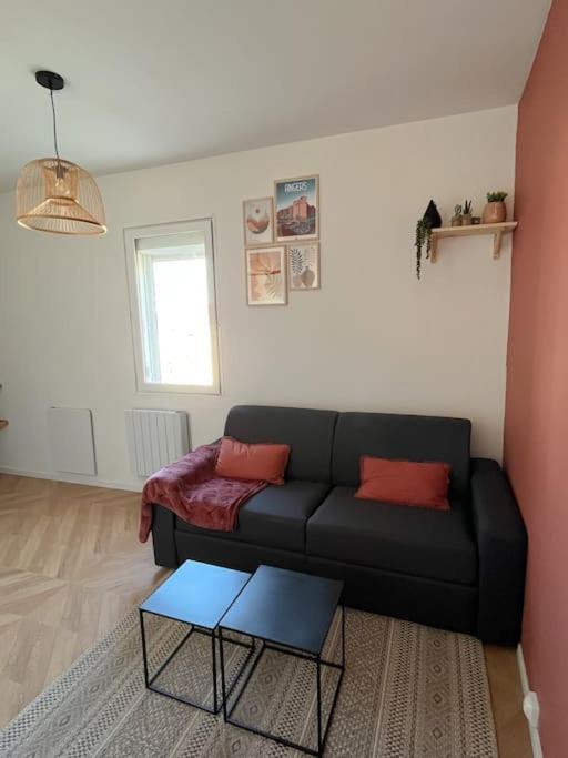 - Cosy Kaza