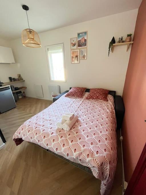 - Cosy Kaza * Angers