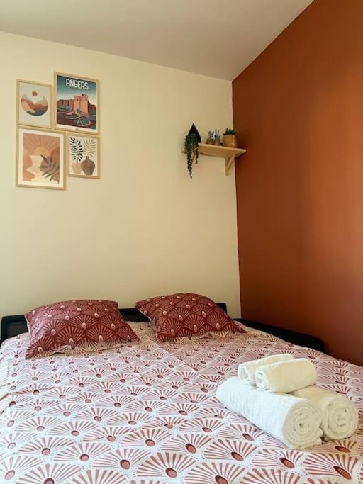 Apartamento - Cosy Kaza
